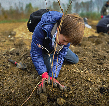 400 new trees in Turin's Stura Sud Park